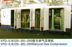 VFD-0.8/(25-30)-250 Natural Gas Compressor